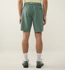 chlorophyll green