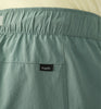 chlorophyll green