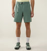 chlorophyll green