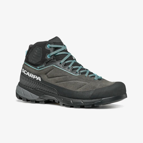 shark/aqua