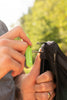 Coghlans Camp Knife 11 Funktionen im Einsatz