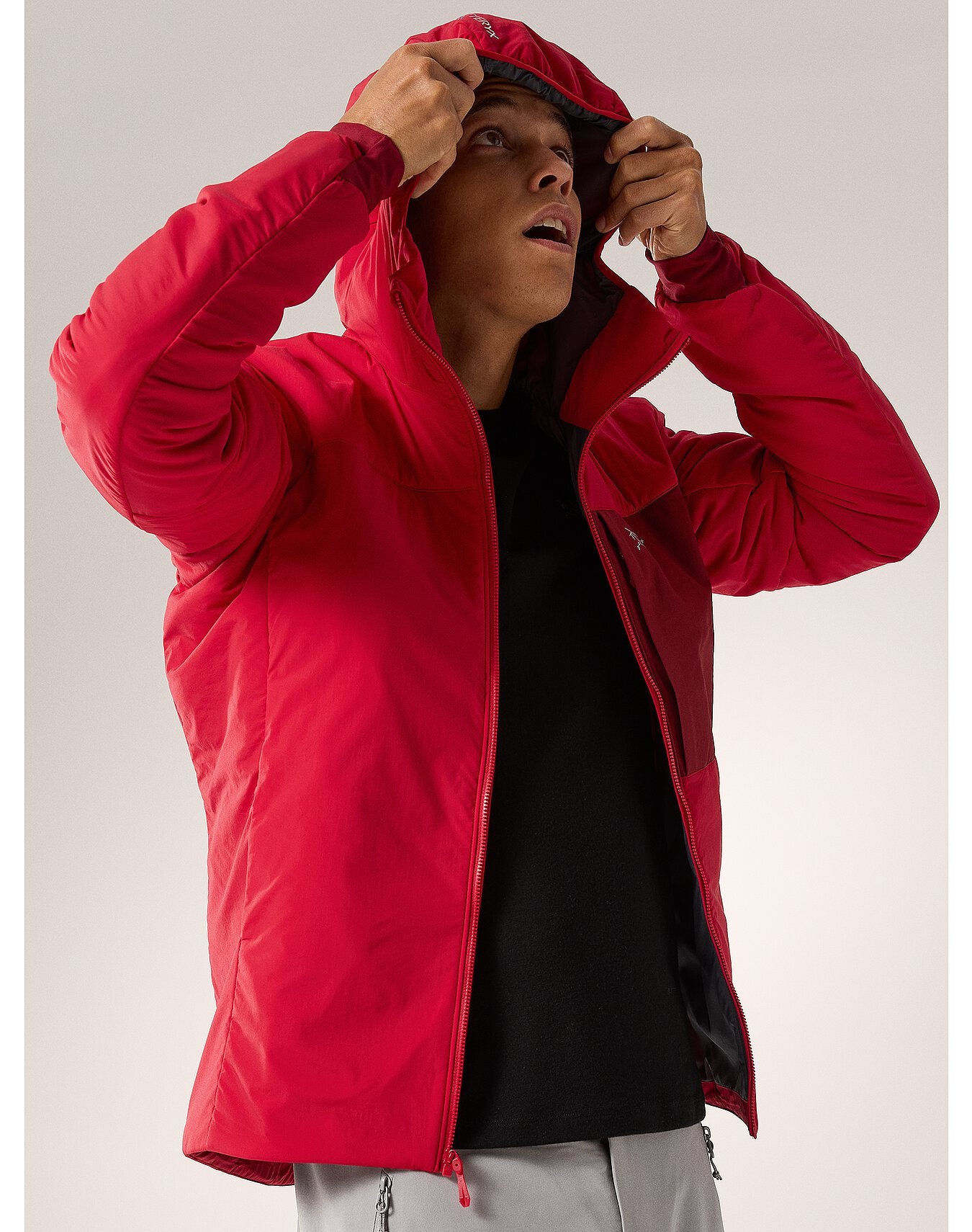 Proton Hoody M