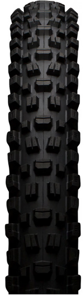 Maxxis Assegai 3C MaxxGrip Downhill WT TR 29 x 2,5