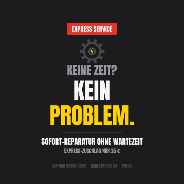 Werkstatt-Express-Service