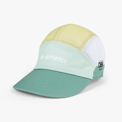 dusty turquoise/glade