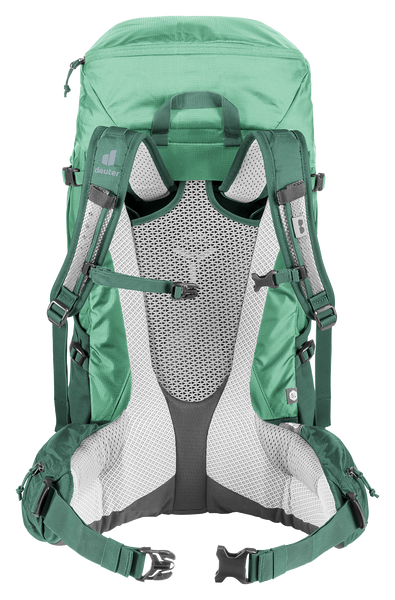spearmint-seagreen