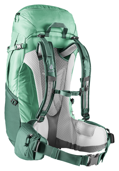 spearmint-seagreen
