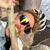 The 2000s - Herbivore - Auf und Davon | Outdoor Equipment