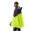 neon yellow/black